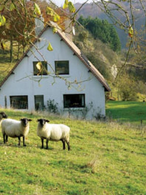 Chambre D'Hotes Les Champarts Tourville-la-Chapelle Zewnętrze zdjęcie