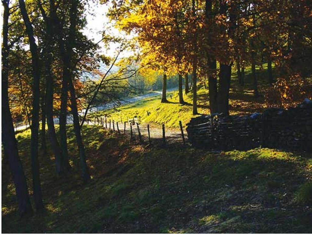 Chambre D'Hotes Les Champarts Tourville-la-Chapelle Zewnętrze zdjęcie